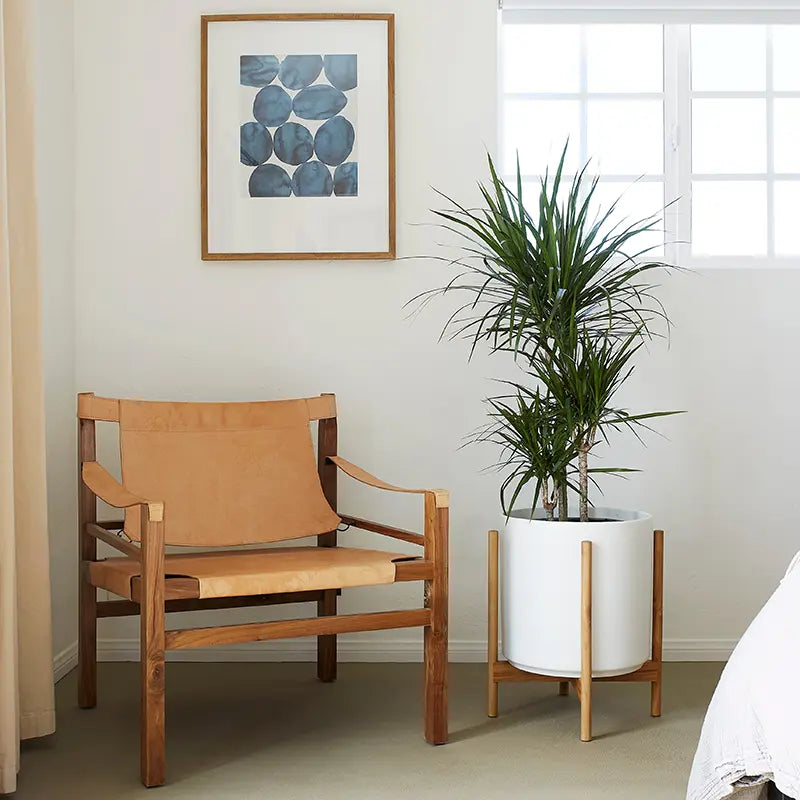 Ceramic Cylinder Planter