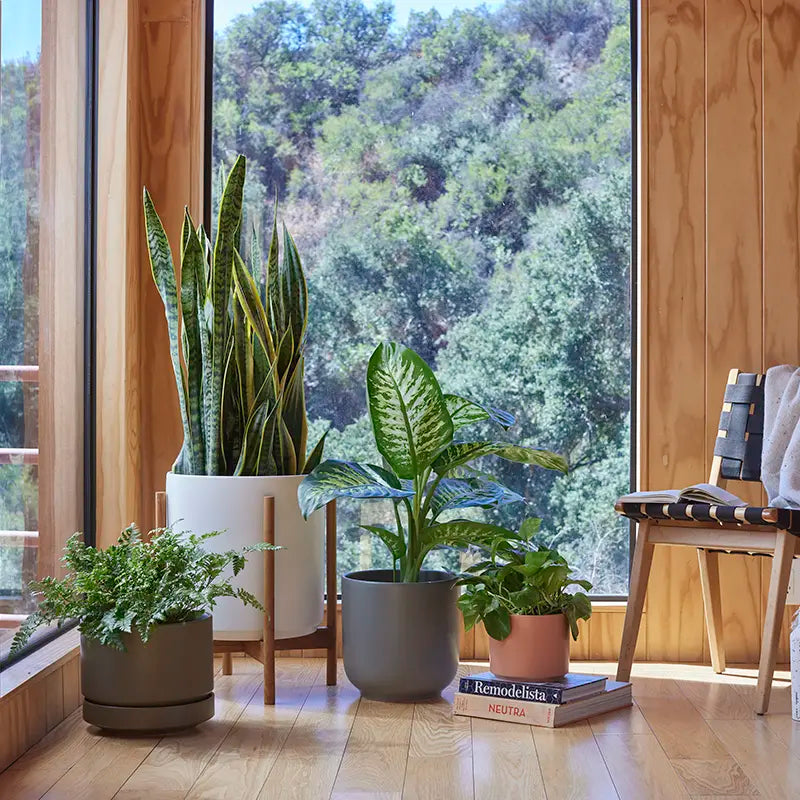 Ceramic Cylinder Planter