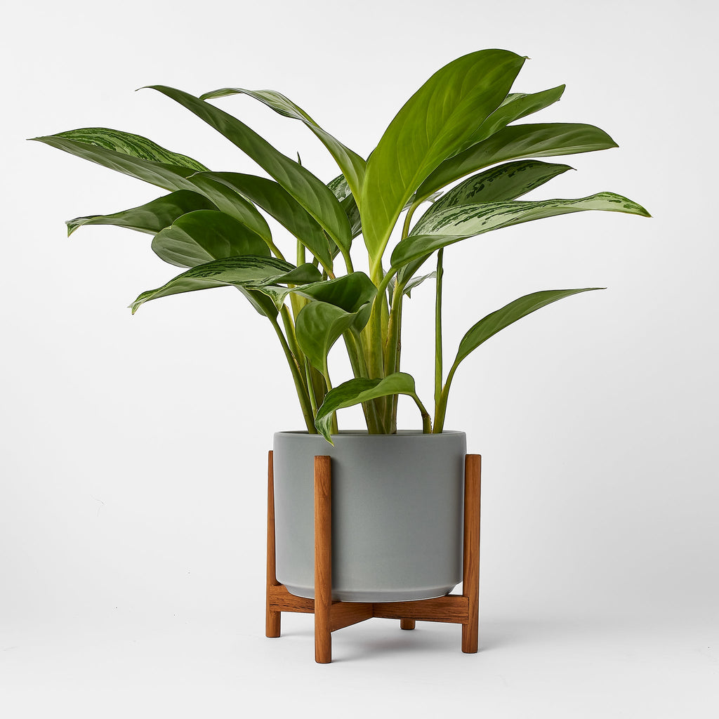 Ceramic Cylinder Planter