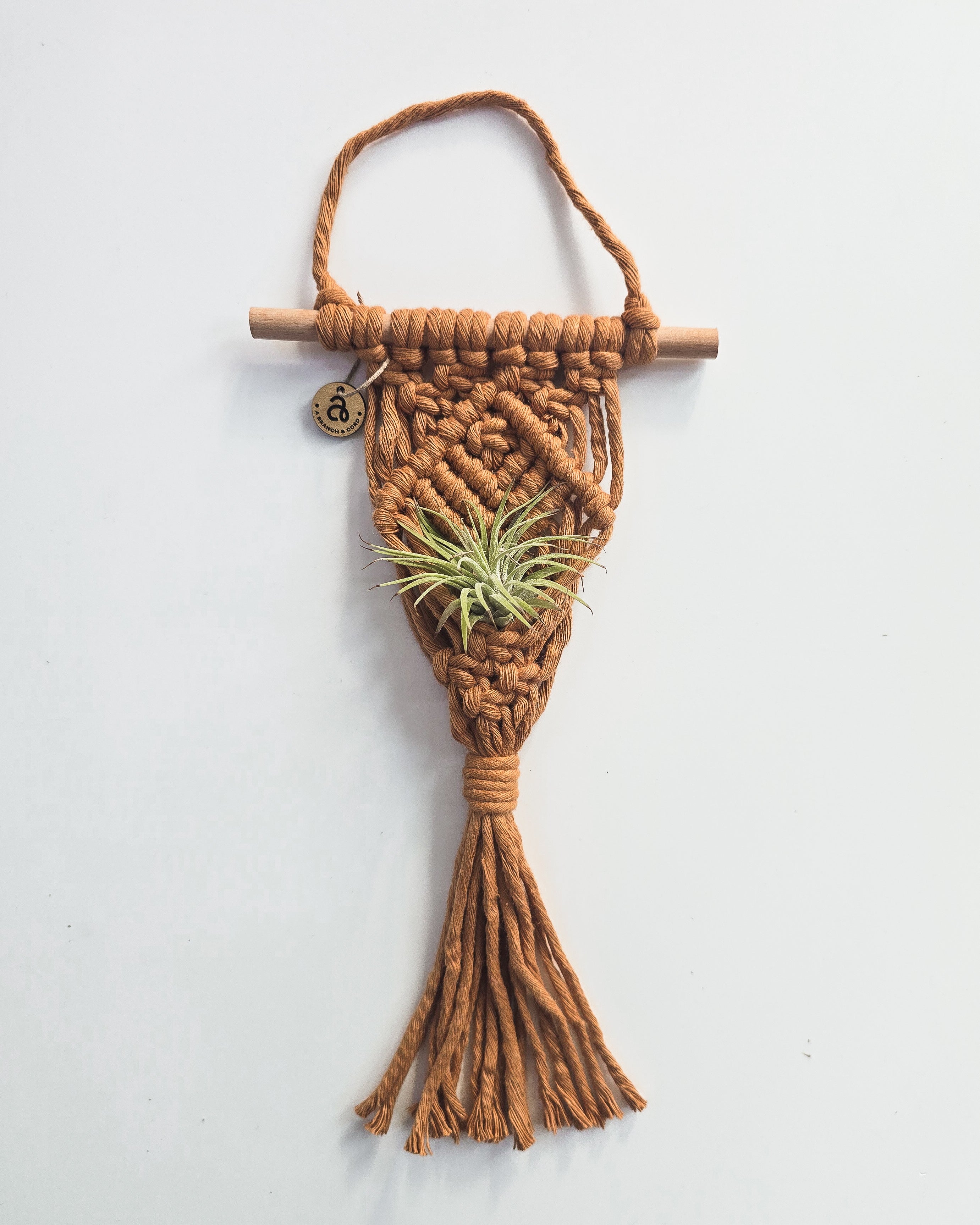 Macrame Air Plant Hanger