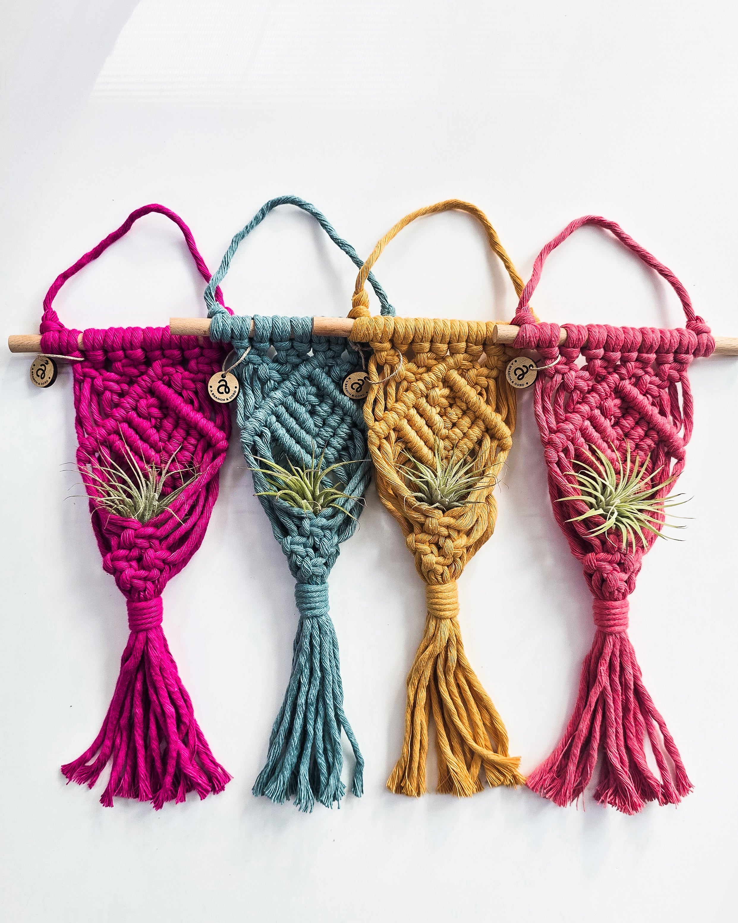 macrame plant hanger supplies Macrame Air Plant Hanger Dusty Lavender / With faux succulent