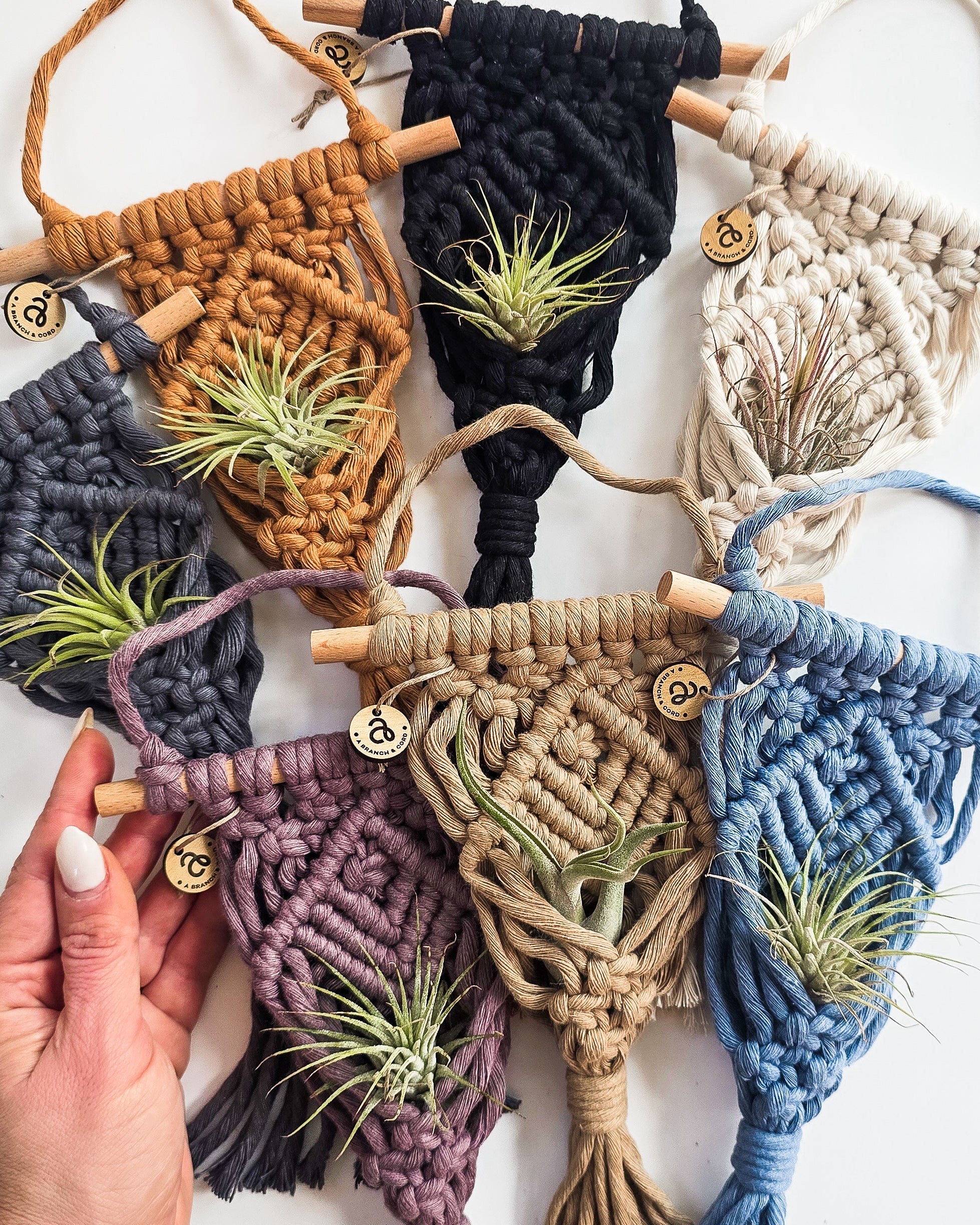 air plant macrame diy Macrame Air Plant Hanger