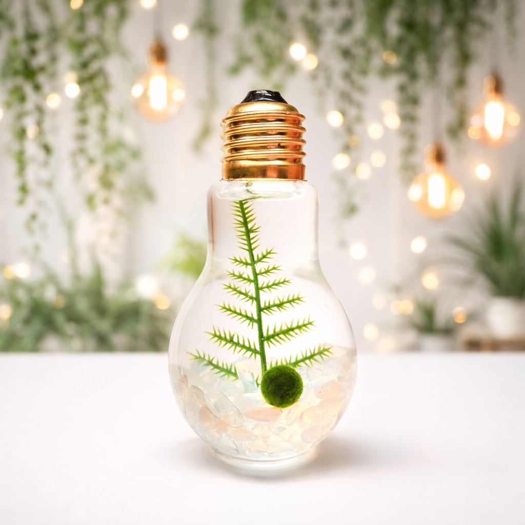 Light Bulb Terrarium with Nano Marimo Moss Ball Pet