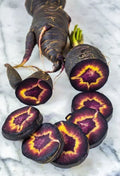 Black Nebula Carrot Seeds - 100+ Heirloom Organic Non-GMO Fresh Seeds - RARE Daucus carota