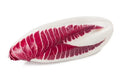 Red Treviso Endive Seeds - 2000 Count Non-GMO Heirloom Cichorium endivia for Salads & Gourmet Dishes