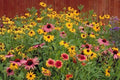 Wildflower Mix Seeds - Partial Shade Native Wildflowers for Pollinators - Eco-Friendly Garden Seed Packet