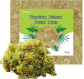 Natural Orchid Moss - 7 Oz Soilless Potting Soil for Potted Plants - Ideal for Seedlings and Orchids - Organic, Eco-Friendly