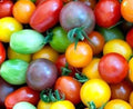 Rainbow Cherry Tomato Seeds - 30+ Heirloom Organic NON-GMO - Sweet, Colorful Variety for Home Gardening