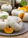White Prince Pumpkin Seeds - Organic Cucurbita pepo for Growing, Planting, and Fall Decorations