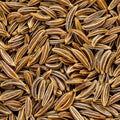 Caraway Seeds - Heirloom Non-GMO Herb Seeds for Culinary Use - Carum carvi, Organic Spice Pack