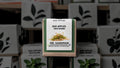 Seed Bombs for Erosion Control – Drought-Resistant Native Seeds – MR. SANDMAN™ – Desert and Arid Zone Restoration