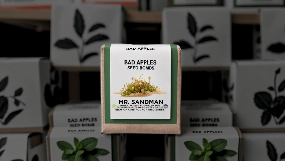 Seed Bombs for Erosion Control – Drought-Resistant Native Seeds – MR. SANDMAN™ – Desert and Arid Zone Restoration