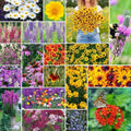 Perennial Wildflower Seeds Mix 5 lb Non-GMO Native Pollinator-Friendly for Garden Planting