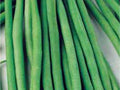 Top Crop Green Bean Seeds - Non-GMO Phaseolus vulgaris for Home Gardening, Tender Green Beans, Bush-Type, Seed Packet