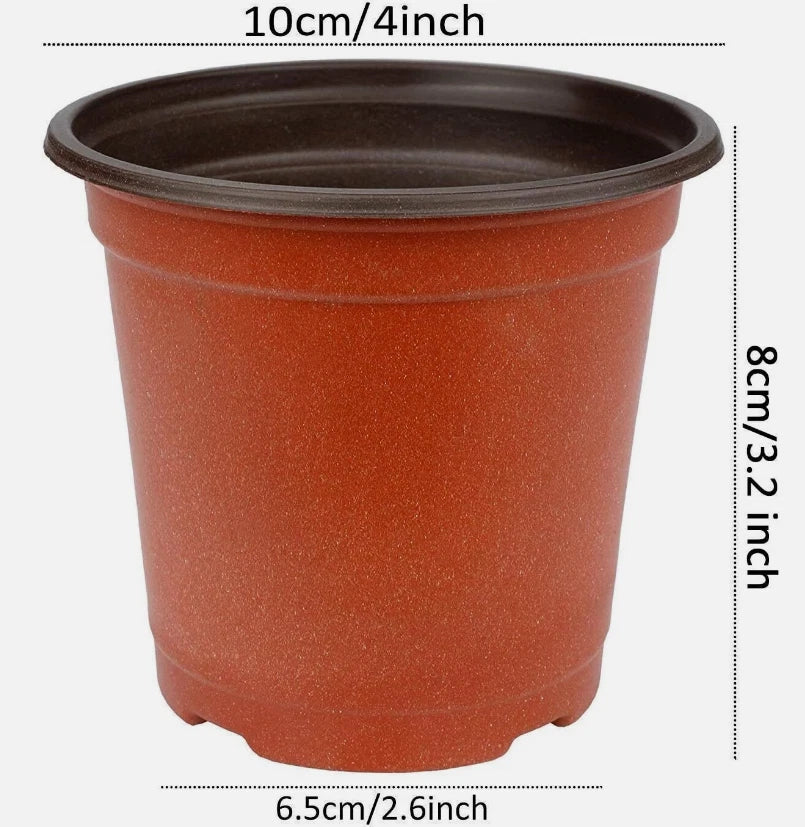 75 Pcs Plant Nursery Pots for Succulent Seedlings and Cuttings, Ideal for Transplanting, Perfect for Gardening Projects
