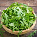 Organic Arugula Seeds 1200 Count Non-GMO Heirloom Eruca sativa for Home Gardening
