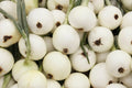 White Spanish Onion Seeds – Non-GMO Vegetable Seeds for Home Garden, Allium cepa, Sweet & Mild Flavor, 200+ Seeds
