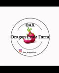 Purple Haze Dragon Fruit Cuttings - Mature Plant Propagation - Hylocereus undatus