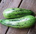 Caserta Squash Seeds - 10 Heirloom Cucurbita pepo Seeds for Planting