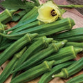 Emerald Okra Seeds - Heirloom Non-GMO Organic Pack of 100+ Abelmoschus esculentus for Home Gardening