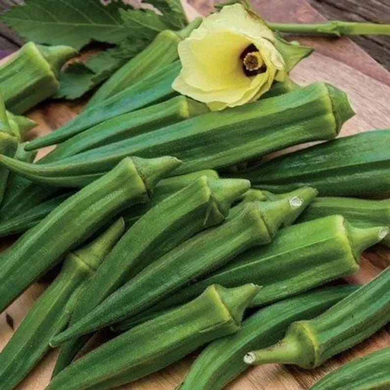 Emerald Okra Seeds - Heirloom Non-GMO Organic Pack of 100+ Abelmoschus esculentus for Home Gardening