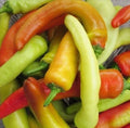 Hungarian Wax Hot Pepper Seeds, Non-GMO, Hot Banana Pepper Variety, Capsicum annuum, Tracking Included