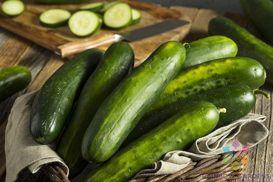 25+ Sweeter Yet Cucumber Seeds - Heirloom Cucumis sativus - USA Free Shipping