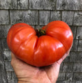 Giant Beefsteak Tomato Seeds - 10+ Organic Heirloom NON-GMO - Fresh & Huge - Perfect for Home Gardening