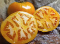 Golden Jubilee Tomato Seeds - Heirloom Organic Non-GMO, Solanum lycopersicum, for Home Gardening, Juicy Golden Tomatoes, Seed Packet