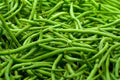 Strike Green Bean Seeds - Organic Phaseolus vulgaris, Bush Variety, Fresh Green Beans, Gardening Seeds, Non-GMO, 100 Pack