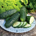 Double Yield Cucumber Seeds - 100+ Heirloom Organic NON-GMO - Cucumis sativus - Fresh Gardening Seeds