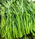 Thai Water Spinach Seeds - Ong Choy Kangkong - Edible Vegetable - Ipomoea aquatica - Fast Growing, 50+ Seeds