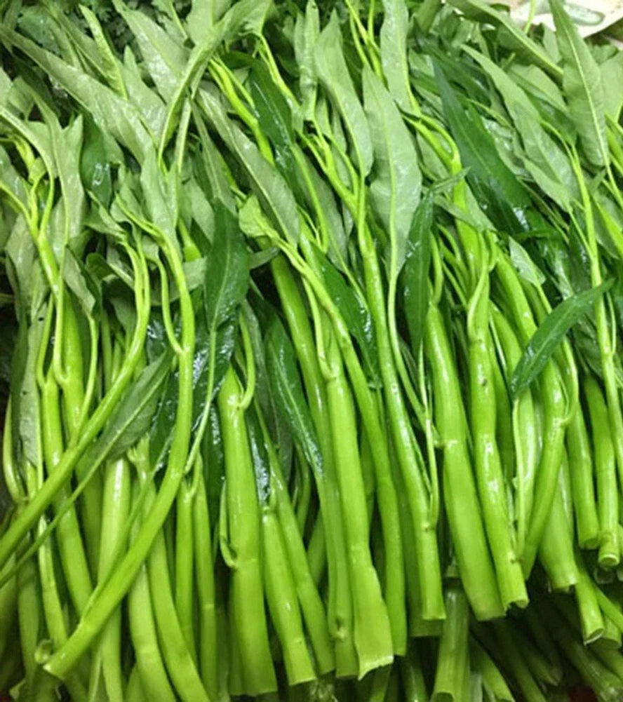 Thai Water Spinach Seeds - Ong Choy Kangkong - Edible Vegetable - Ipomoea aquatica - Fast Growing, 50+ Seeds