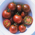 Brown Berry Tomato Seeds - Heirloom Organic Non-GMO Solanum lycopersicum, Small Juicy Tomatoes for Salads & Snacks