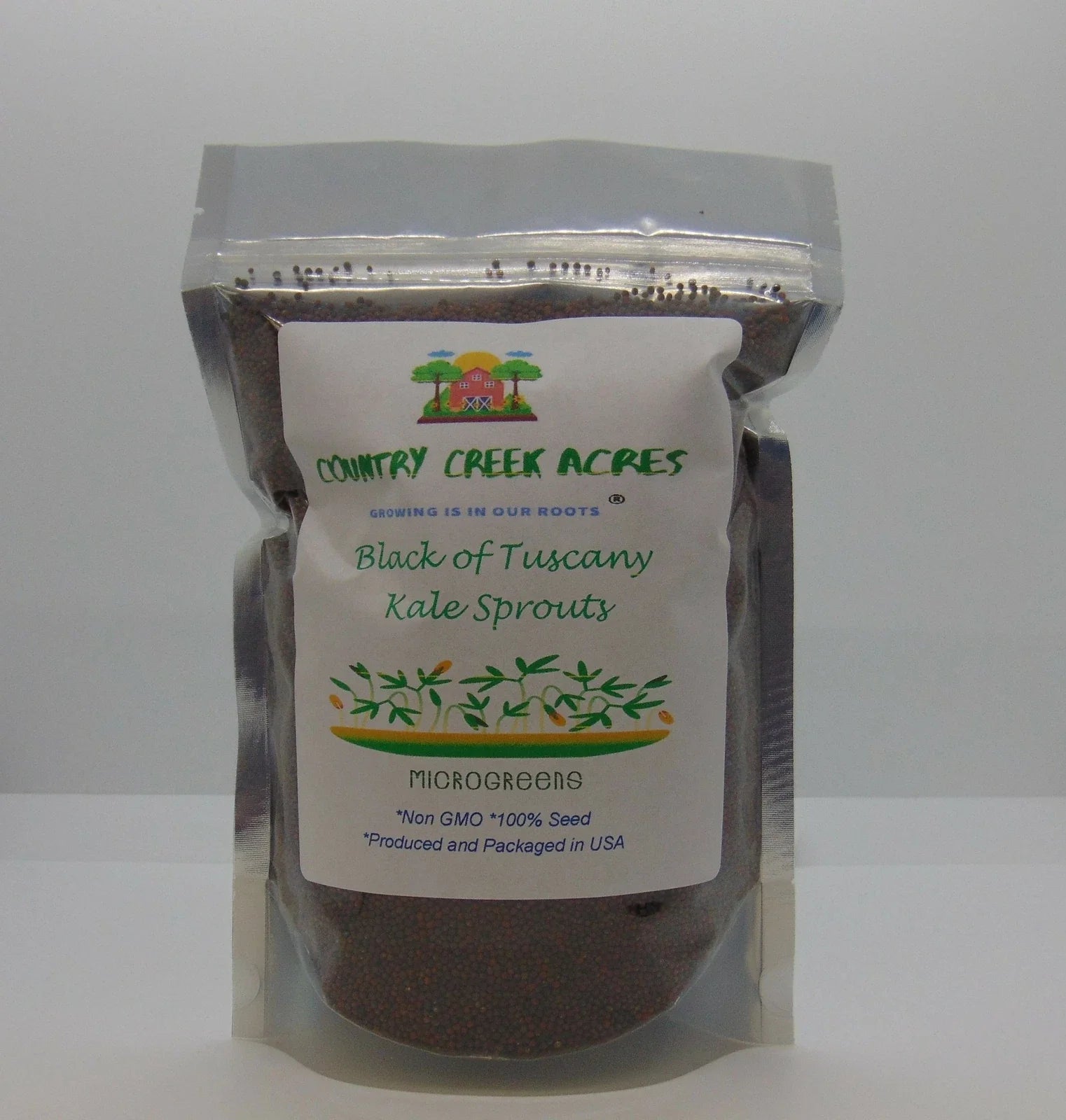 Black of Tuscany Kale Seeds - Heirloom Italian Variety - Brassica oleracea var. sabellica