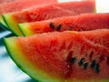 Watermelon Seeds - 100 Heirloom Charleston Grey Non-GMO Seeds for Home Gardening - Citrullus lanatus