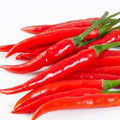 Cayenne Long Slim Pepper Seeds – Capsicum annuum, Hot Chili, Fresh Seed for Home Gardening, Long Slim Peppers, Non-GMO