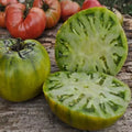 Cherokee Green Tomato Seeds - Heirloom, Non-GMO, Solanum lycopersicum, 120+ Seeds for Home Gardening