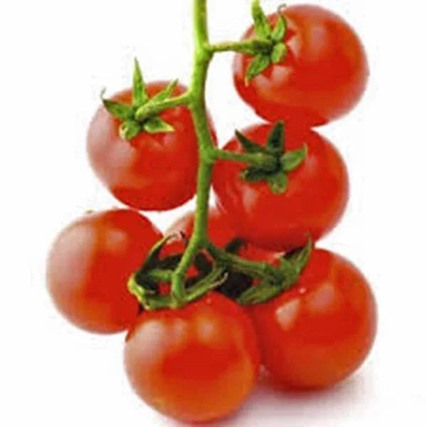 Sweet Large Cherry Tomato Seeds, Heirloom, Non-GMO, 500+ Seeds for Home Garden, Solanum lycopersicum