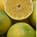Cocktail Grapefruit Seeds - 5+ Citrus Maxima Pomelo Fruit Tree Seeds for Juicy, Sweet, and Tangy Citrus Growing