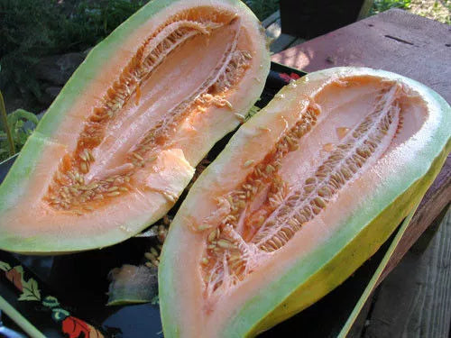 Banana Melon Seeds - Rare Heirloom Cucumis melo - Sweet, Non-GMO Gardening Seeds for Warm Climates