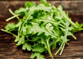 Arugula Lettuce Seeds - 15 Pack - Fast-Growing Eruca sativa - Free USA Shipping