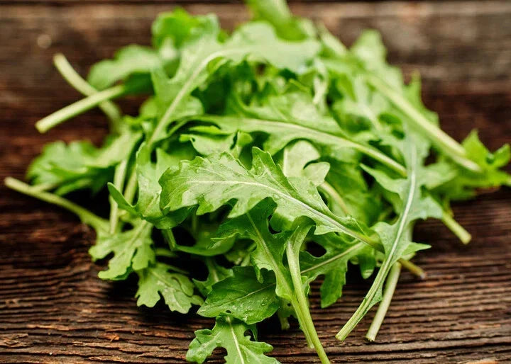 Arugula Lettuce Seeds - 15 Pack - Fast-Growing Eruca sativa - Free USA Shipping