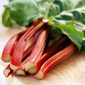 Victoria Red Rhubarb Seeds, 50 Pack, Perennial, Easy to Grow, Rheum rhabarbarum