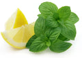Lemon Mint Seeds - 500+ Heirloom Organic Lemon Bee Balm - NON-GMO - Aromatic Herb Seeds for Gardens - Monarda citriodora