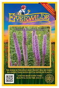Prairie Blazing Star Wildflower Seeds 1 Oz - Liatris pycnostachya - Pollinator Attracting, Native Perennial, Wildflower Garden Seeds