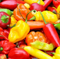 Hot Pepper Seeds Mix - 50+ Varieties Including Jalapeno, Habanero, Cayenne, Anaheim, Cherry, Santa Fe | Capsicum annuum