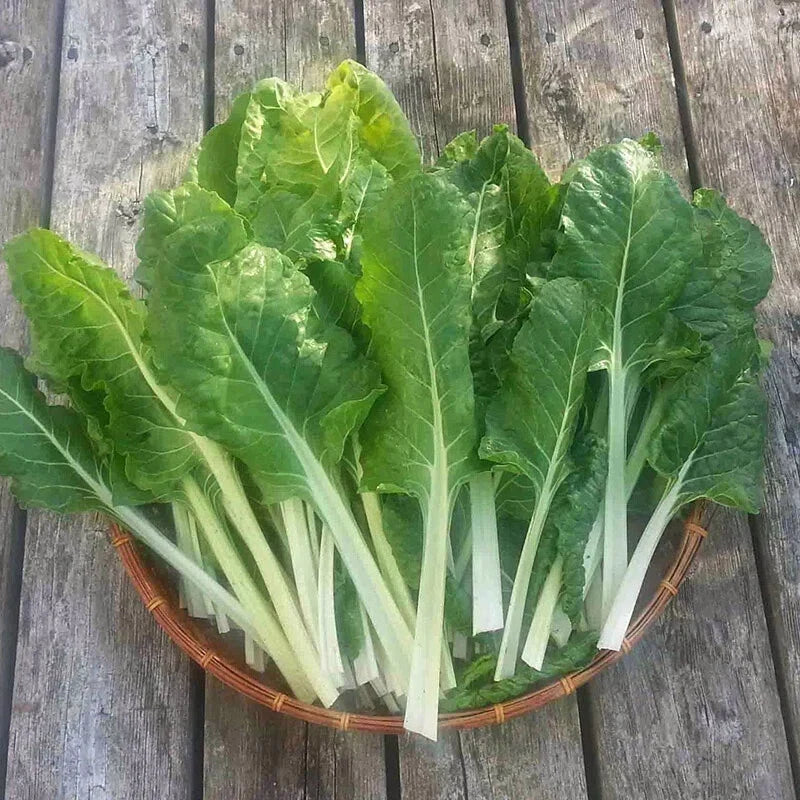 250 Swiss Chard Seeds - Fordhook Giant Non-GMO Heirloom Beta vulgaris Seed Packet for Home Garden