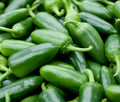 Jalapeno Pepper Seeds 50+ Spicy Mexican Culinary Salsa Capsicum annuum