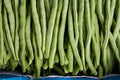 Bean Seeds Mix Collection - Heirloom Varieties Garden Seed Set for Home Growing - Non-GMO, Climbing & Bush Beans